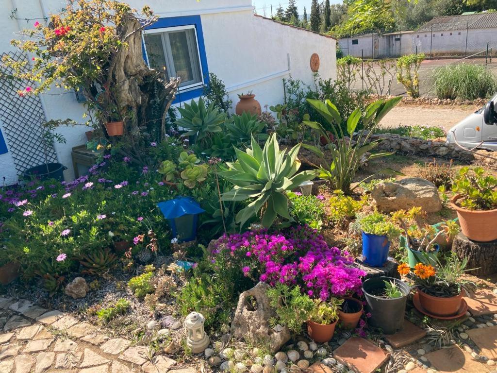 Casa Joy Villa Guia  Exterior photo